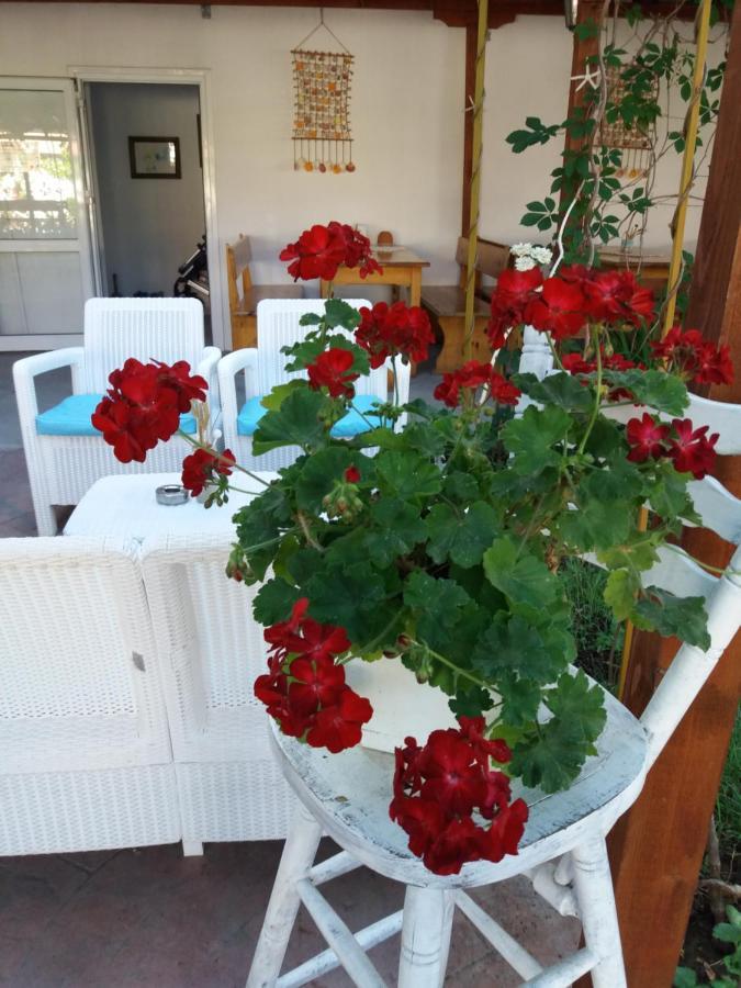 Alba Family Club Hotel بريمورسكو المظهر الخارجي الصورة
