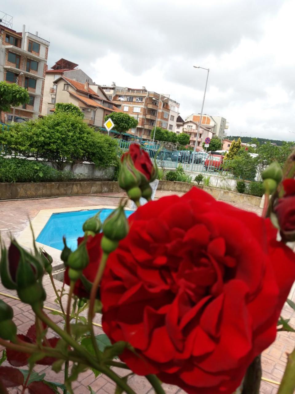 Alba Family Club Hotel بريمورسكو المظهر الخارجي الصورة