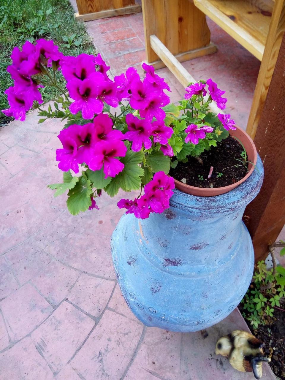 Alba Family Club Hotel بريمورسكو المظهر الخارجي الصورة