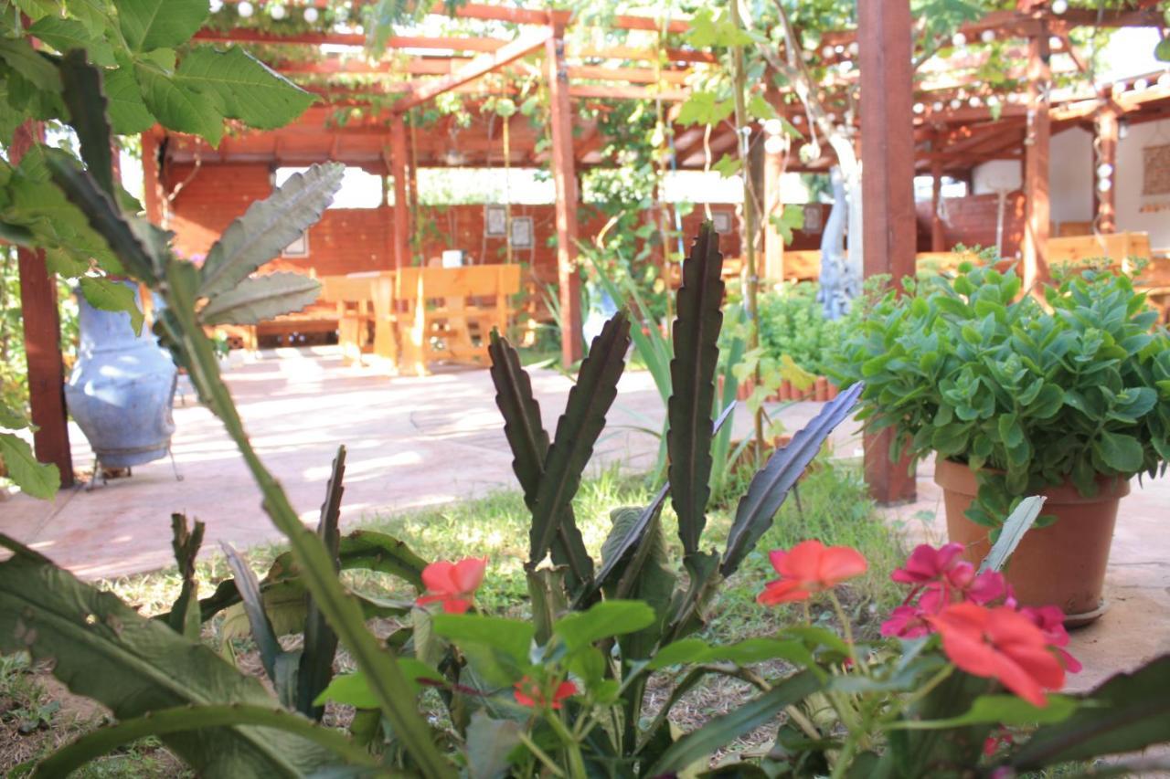 Alba Family Club Hotel بريمورسكو المظهر الخارجي الصورة