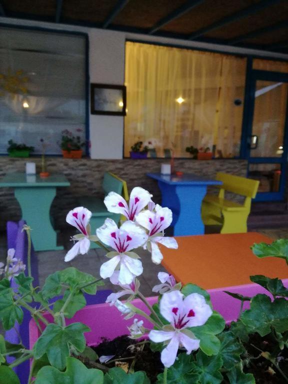 Alba Family Club Hotel بريمورسكو المظهر الخارجي الصورة